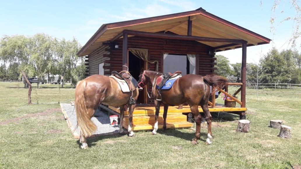 Cabana Rural El Encuentro Villa San Antonio de Areco Buitenkant foto