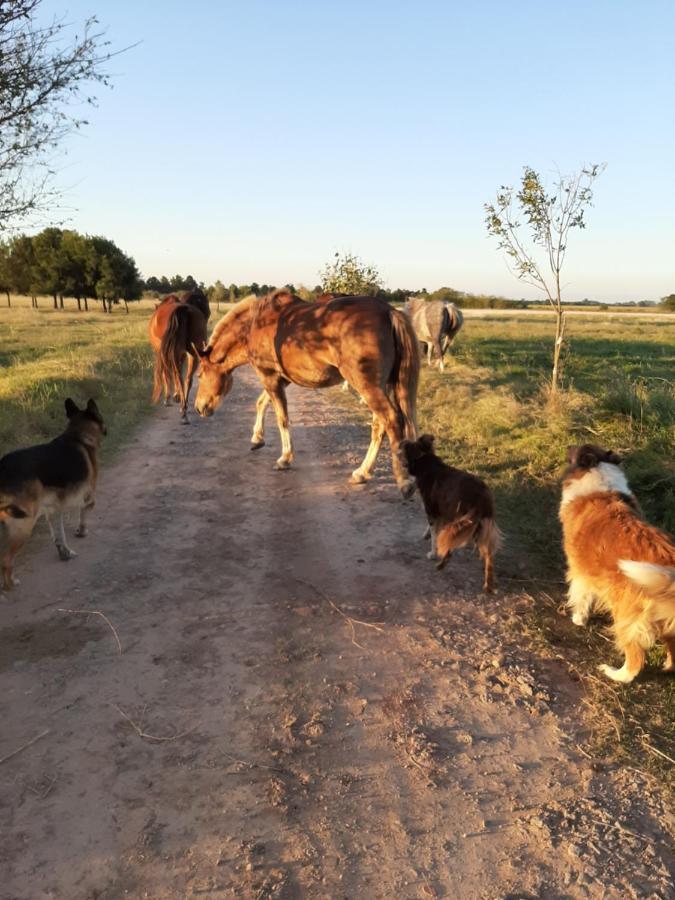 Cabana Rural El Encuentro Villa San Antonio de Areco Buitenkant foto